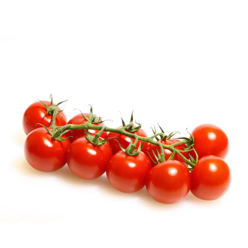 Cherrystrauchtomate