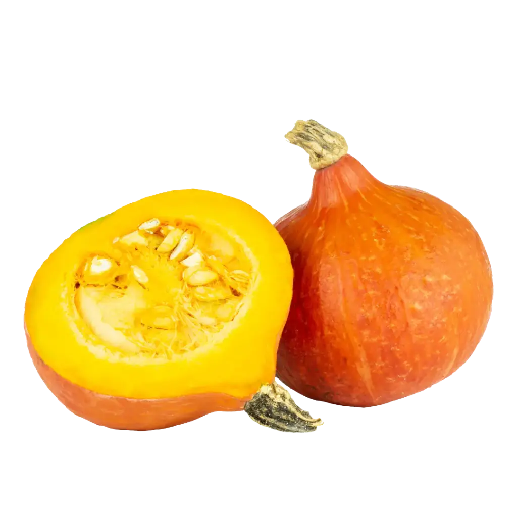 Hokaidokürbis