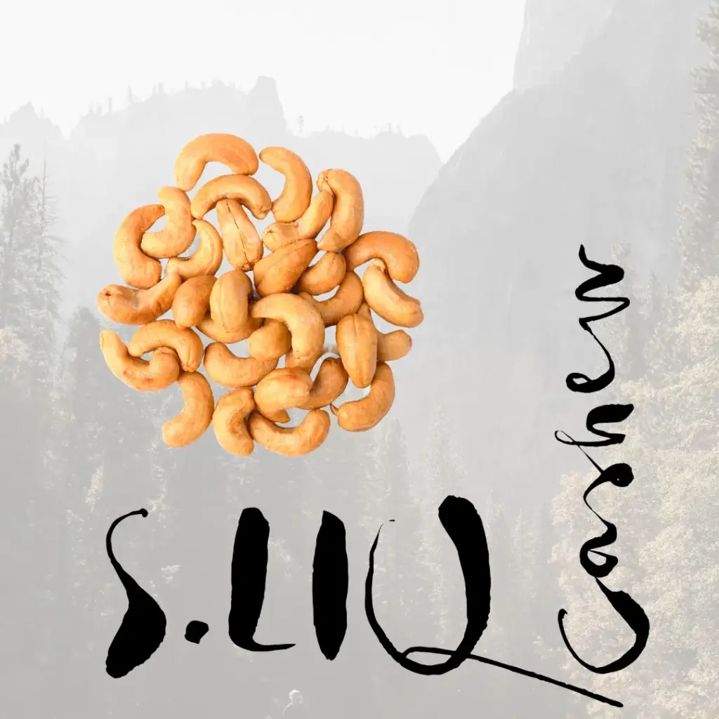 S.LIQ Cashew - Cashewöl 0.25l