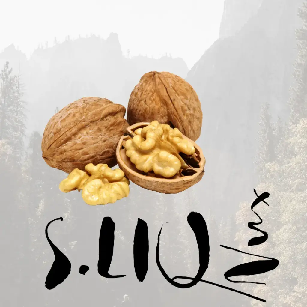 S.LIQ Nux - Bio Walnussöl 0.25l