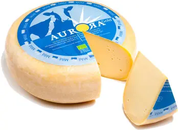 Aurora Gold Gouda jung 50% F.i.Tr.