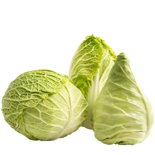 [63128] Bamberger Wirsing