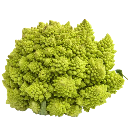 [63118] Romanesco
