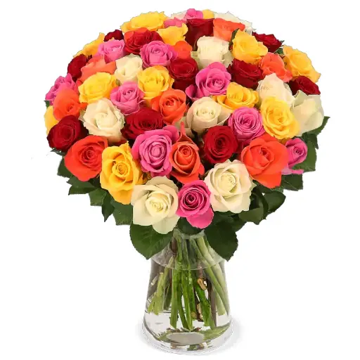 [20188] Rose, gemischt