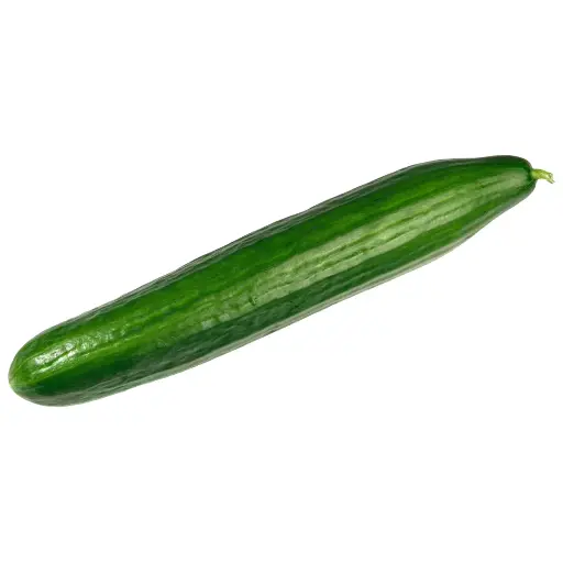 [63121] fränkische Salatgurke