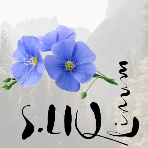 [65201] S.LIQ Linum - Bio Leinsamenöl 0.25l