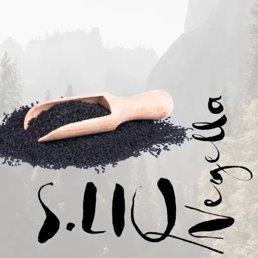 [65202] S.LIQ Nigella - Bio Schwarzkümmelöl 0.25l