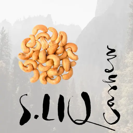 [65203] S.LIQ Cashew - Cashewöl 0.25l