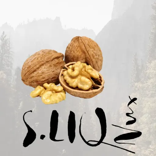 [65204] S.LIQ Nux - Bio Walnussöl 0.25l