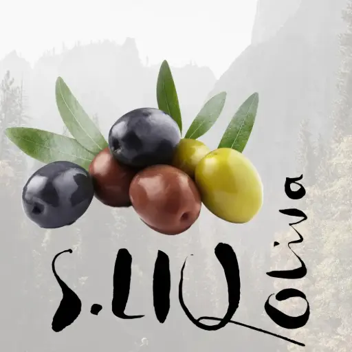 [65206] S.LIQ Oliva - Bio Olivenöl 0.5l