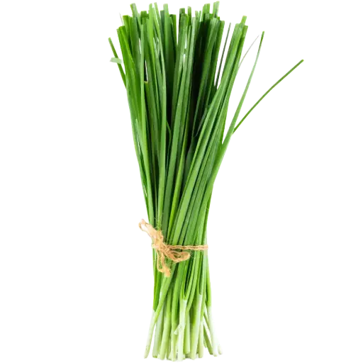 [63206] Lauchzwiebeln